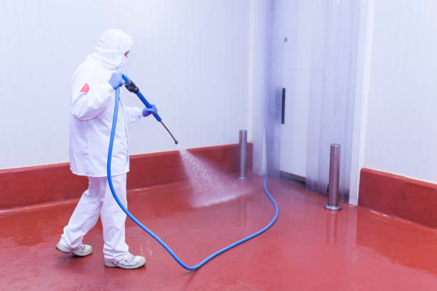 Best Roof Washing  in Roseau, MN