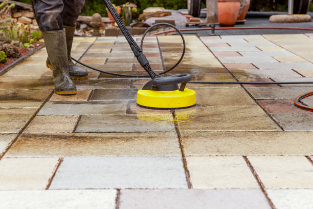  Roseau, MN Pressure Washing Pros