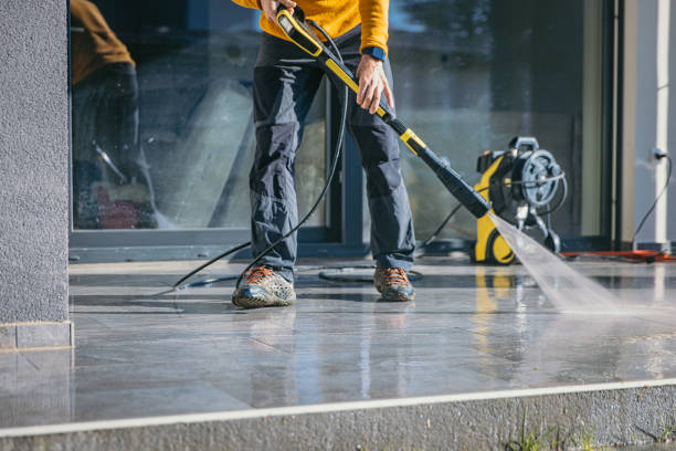 Best Graffiti Removal  in Roseau, MN